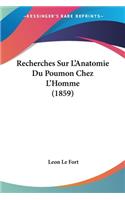 Recherches Sur L'Anatomie Du Poumon Chez L'Homme (1859)