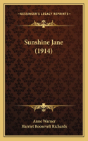 Sunshine Jane (1914)