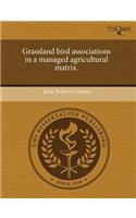 Grassland Bird Associations in a Managed Agricultural Matrix