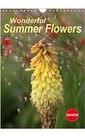Wonderful Summer Flowers 2018