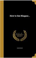 How to See Niagara ..