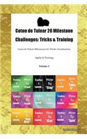Coton de Tulear 20 Milestone Challenges