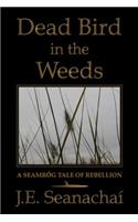Dead Bird in the Weeds