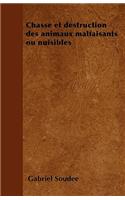 Chasse Et Destruction Des Animaux Malfaisants Ou Nuisibles