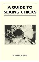 Guide To Sexing Chicks