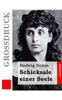 Schicksale einer Seele (Großdruck)