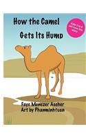 How the Camel Gets Its Hump