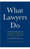 What Lawyers Do