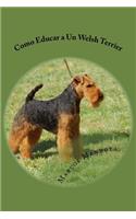 Como Educar a Un Welsh Terrier
