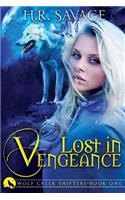Lost in Vengeance