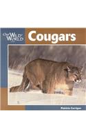 Cougar