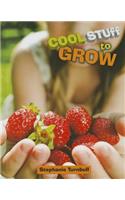 Cool Stuff to Grow