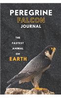 Peregrine falcon journal &Notebook 6