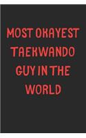 Most Okayest Taekwando Guy In The World