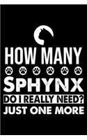 How Many Sphynx Do I Really Need? Just One More