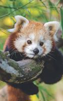 Red Panda - Lined Notebook: Writing Journal