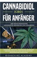 Cannabidiol (Cbd) Für Anfänger