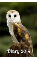 Diary: Barn Owl on Post - Bespoke, personalised desk diary. Contact us if you would like your own image, name or other text on a book.