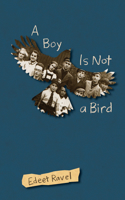 Boy Is Not a Bird