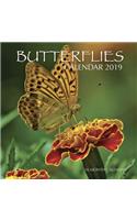 Butterflies Calendar 2019: 16 Month Calendar