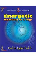 Energetic Anatomy of a Yogi