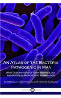 An Atlas of the Bacteria Pathogenic in Man