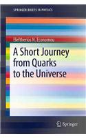 Short Journey from Quarks to the Universe