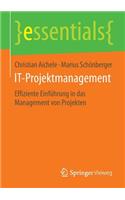 It-Projektmanagement