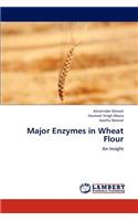 Major Enzymes in Wheat Flour