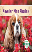 Cavalier King Charles (Cavalier King Charles Spaniels)