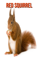 Red Squirrel: Fun Facts & Cool Pictures