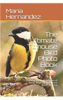 The Ultimate Titmouse Bird Photo Book: Looking through the eyes of these small songbird from North America