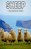 Sheep Calendar 2021: 16-Month Calendar, Cute Gift Idea For Sheep Lovers Women & Men