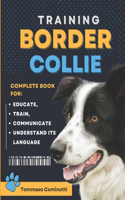 BORDER COLLIE Training