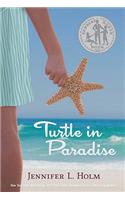 Turtle In Paradise