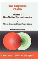 The Enigmatic Photon