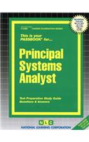 Principal Systems Analyst