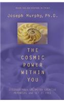 The Cosmic Power within You
