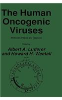 The Human Oncogenic Viruses