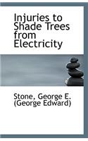 Injuries to Shade Trees from Electricity