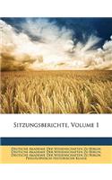 Sitzungsberichte, Volume 1: (German)