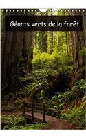 Geants Verts De La Foret 2017: Arbres Anciens Et Foret Tropicale De La Cote Nord-Ouest Americaine(Calvendo Nature)