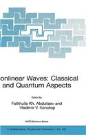 Nonlinear Waves: Classical and Quantum Aspects