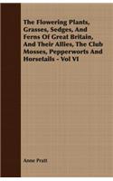 The Flowering Plants, Grasses, Sedges, And Ferns Of Great Britain, And Their Allies, The Club Mosses, Pepperworts And Horsetails - Vol VI