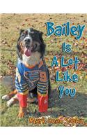 Bailey Is a Lot Like You