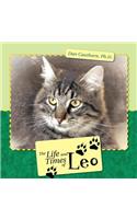 Life and Times of Leo