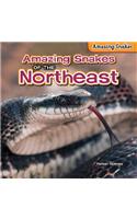 Amazing Snakes of the Northeast