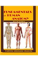 Fundamentals of Human Anatomy 2nd Edition