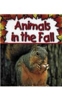 Animals in the Fall