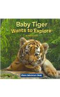 Baby Tiger Wants to Explore